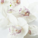 Sea Salt & Orchid | Travel Candle