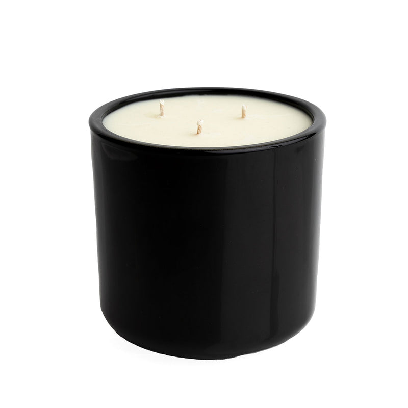 Sea Salt & Orchid | 3 Wick Candle